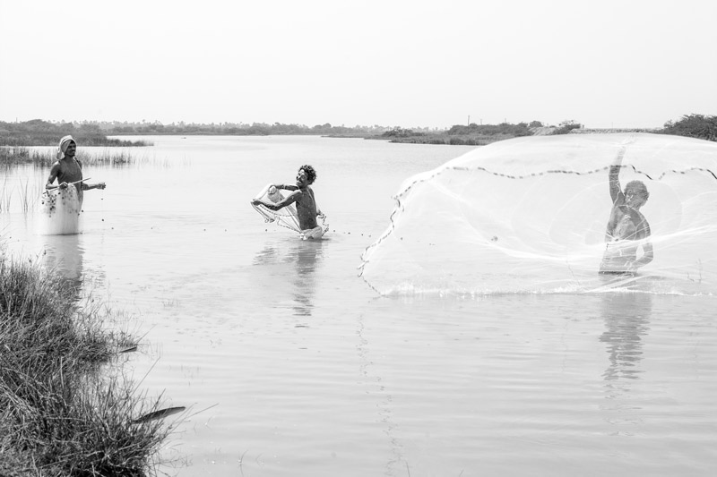 Men and Water Needs from Gender Perspective - fishing in a stream in Nellore district, Andhra Pradesh
